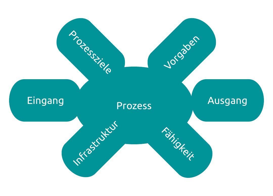 turtle-diagram